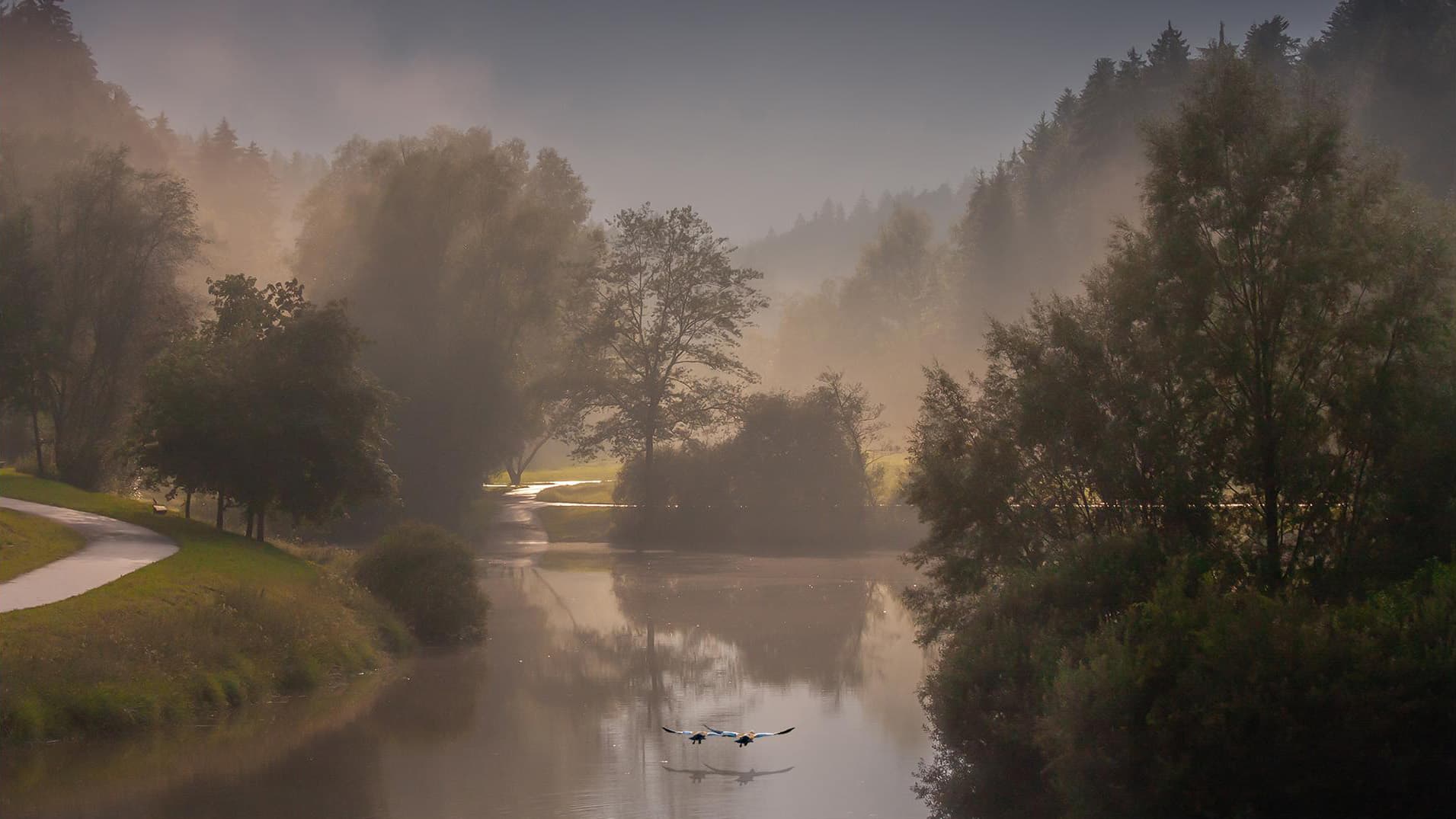 Leineckstausee am Morgen mit Nebel, Sonnenaufgang und Enten